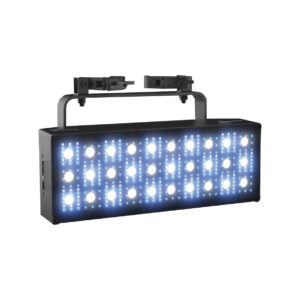 2 In 1 Strobe Light